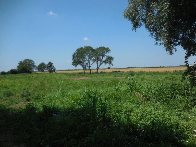 Foto annuncio