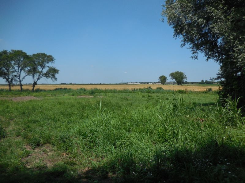 Foto annuncio