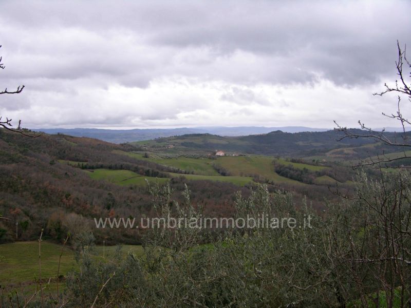 Foto annuncio