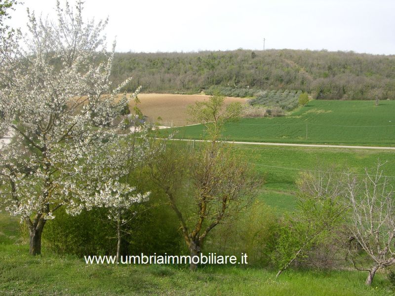 Foto annuncio