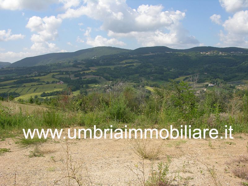 Foto annuncio