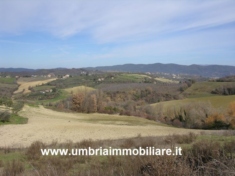 Foto annuncio