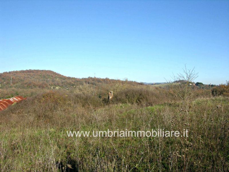 Foto annuncio