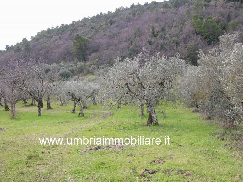 Foto annuncio