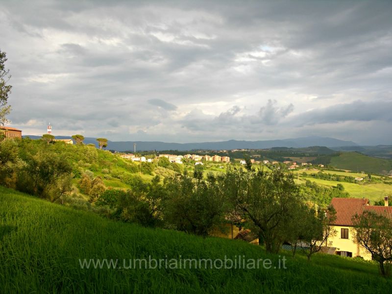 Foto annuncio
