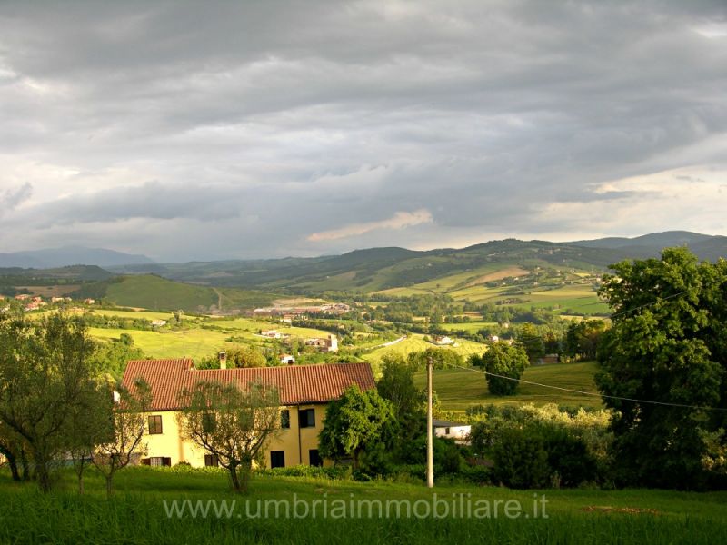 Foto annuncio