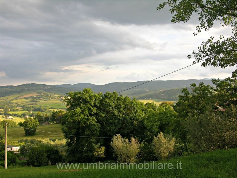 Foto annuncio