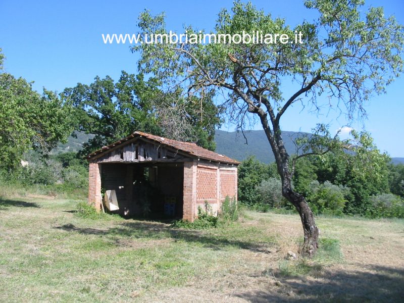 Foto annuncio