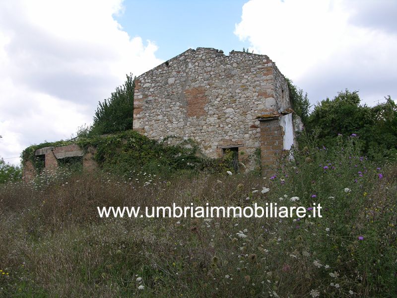 Foto annuncio