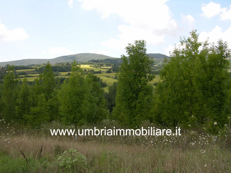 Foto annuncio